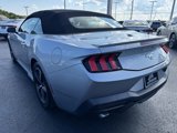 Used 2024 Ford Mustang Premium image 4