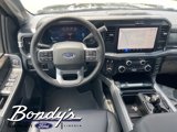 New 2025 Ford F250 4x4 Crew Cab Super Duty image 3