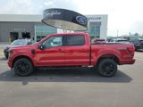 New 2025 Ford F150 XLT w/ Equipment Group 302A MID image 2