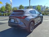Certified 2023 Lexus NX 350 AWD image 5