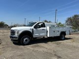 New 2024 Ford F450 XL w/ XL Chrome Package image 4