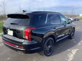New 2025 Hyundai Palisade Calligraphy image 4
