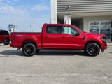 New 2025 Ford F150 XLT w/ Equipment Group 301A Standard image 2