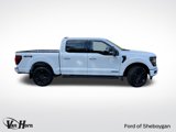 New 2025 Ford F150 XLT image 3