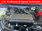 New 2024 Ford Escape ST-Line w/ Tech Pack #1 image 3