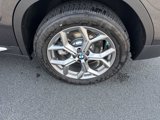 New 2025 BMW X4 xDrive30i w/ Premium Package image 6
