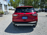 Used 2020 Ford Escape Titanium image 4