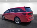 New 2025 Honda Odyssey Elite image 3