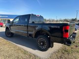 New 2025 Ford F250 Platinum image 2