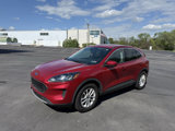 Used 2020 Ford Escape SE image 2