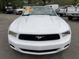 Used 2011 Ford Mustang Convertible w/ 101A Rapid Spec Order Code image 2