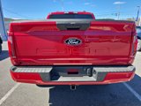 New 2025 Ford F150 STX image 4