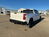 Used 2023 Chevrolet Silverado 1500 LT Trail Boss image 6