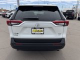 New 2025 Toyota RAV4 XLE Premium image 4