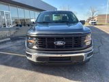 New 2025 Ford F150 XL w/ Equipment Group 103A High image 2