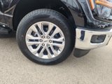 New 2025 Ford F150 XLT image 2