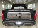 New 2025 Ford F150 XLT w/ Equipment Group 303A High image 6