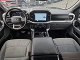 Certified 2022 Ford F150 XLT w/ Equipment Group 302A High image 2
