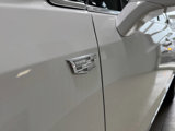Used 2023 Cadillac XT5 Premium Luxury image 3