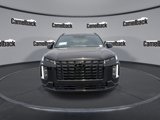 New 2025 Hyundai Palisade Calligraphy image 2