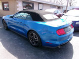 Used 2020 Ford Mustang Premium image 4