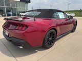 New 2025 Ford Mustang Premium image 3