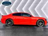Used 2020 Dodge Charger SXT w/ Blacktop Package image 4