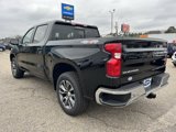 New 2025 Chevrolet Silverado 1500 LT w/ Safety Package image 5