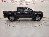 New 2025 Toyota Tacoma Limited image 3