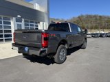 New 2025 Ford F350 Lariat image 5