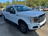 Used 2019 Ford F150 XLT w/ Equipment Group 302A Luxury image 3