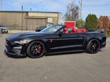 Used 2019 Ford Mustang GT Premium w/ Equipment Group 401A image 3