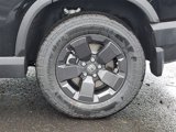 New 2026 Honda Passport RTL image 5