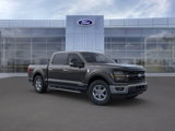 New 2025 Ford F150 XLT w/ Equipment Group 301A Standard image 2