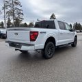 New 2025 Ford F150 XLT image 3