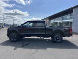 New 2025 Ford F350 Platinum image 2