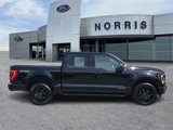 Used 2023 Ford F150 XLT w/ XLT Black Appearance Package image 5