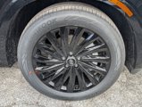 New 2025 Hyundai Palisade Calligraphy image 6