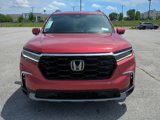 New 2025 Honda Pilot Touring image 4