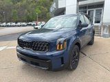 New 2025 Kia Telluride AWD image 3