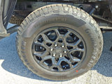 New 2025 Ford F150 XLT image 5