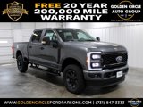 New 2025 Ford F250 XL w/ STX Appearance Package image 1