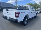 Used 2019 Ford F150 XL w/ XL Power Equipment Group image 4