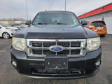 Used 2011 Ford Escape XLT w/ 202A Rapid Spec Order Code image 3