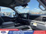 New 2025 Ford F250 XL image 3