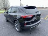 New 2025 Ford Escape ST-Line w/ Tech Pack #1 image 6