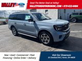 New 2025 Ford Expedition Active image 1
