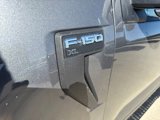 New 2025 Ford F150 XL w/ Equipment Group 103A High image 4