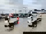 New 2024 Ford Transit 150 Low Roof image 6