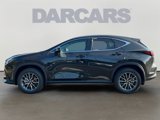 New 2026 Lexus NX 350h AWD w/ Premium Package image 4
